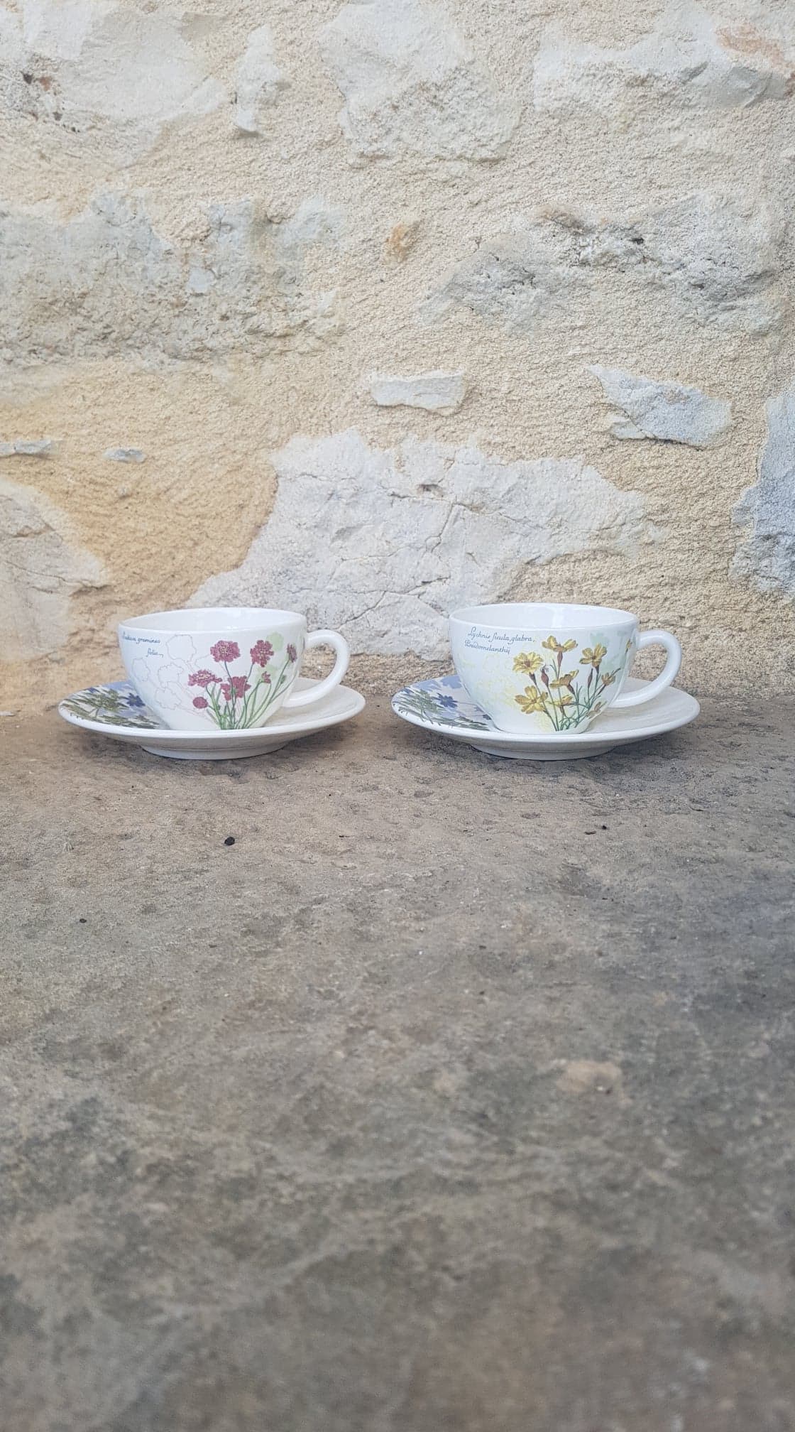 Set of 2 cups Gien L'Herbier du Roy