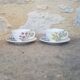 Lot de 2 tasses gien l'herbier du roy