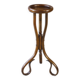Plant stand, pedestal by Fischel 1890 Bent wood, No Thonet