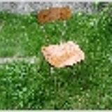 Stainless steel kitchen laminate Chair