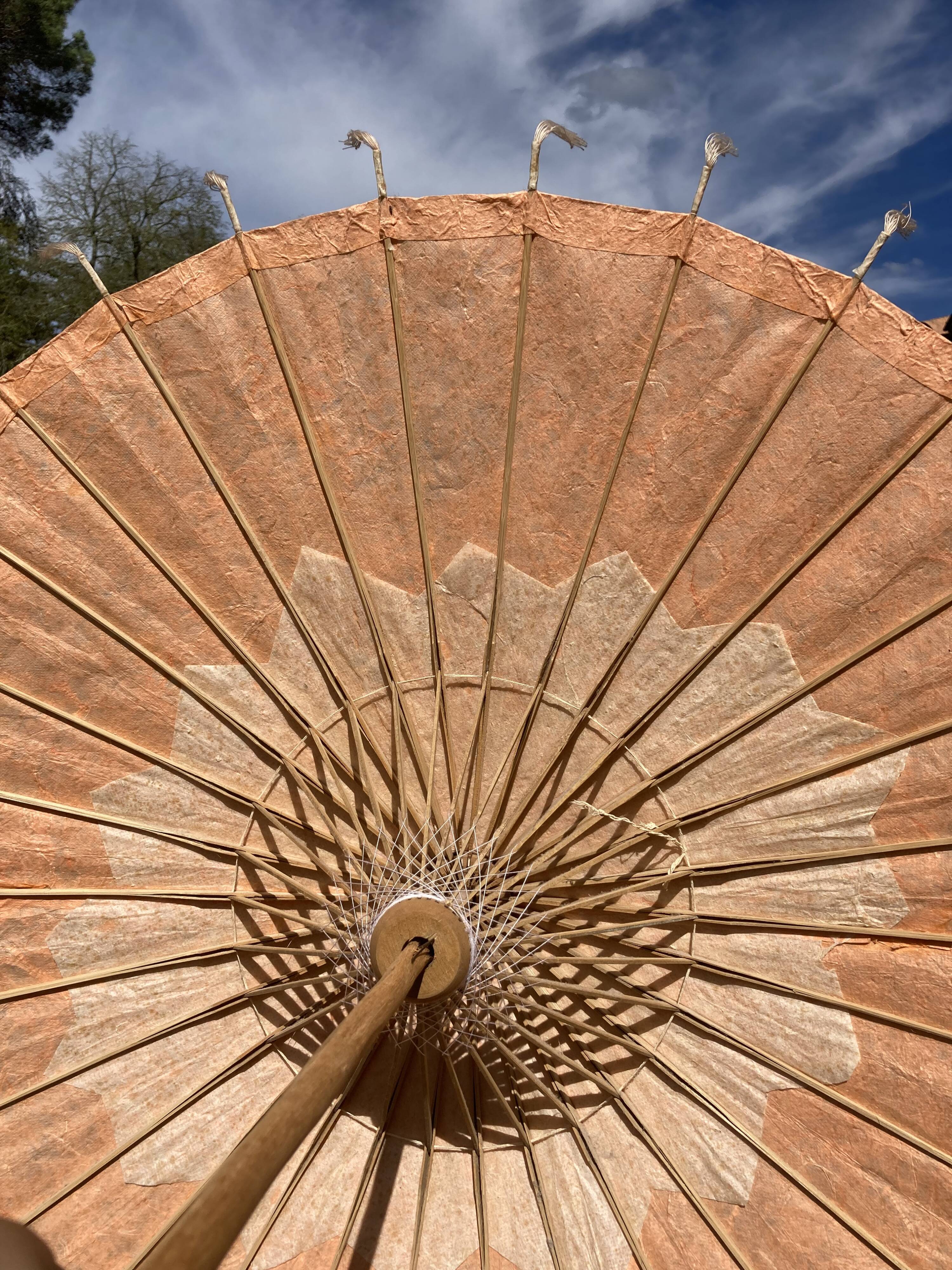Powder pink paper umbrella and wooden handle