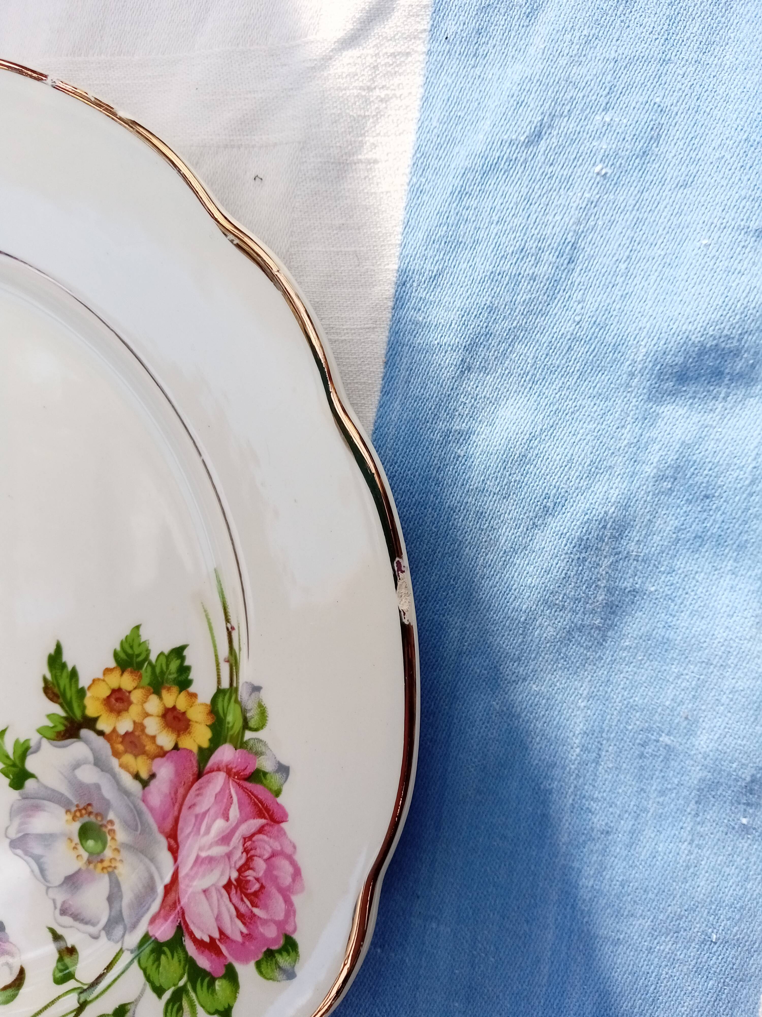 6 Anemone / Digoin flat plates