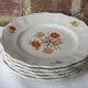 5 Germany porcelain dessert plates