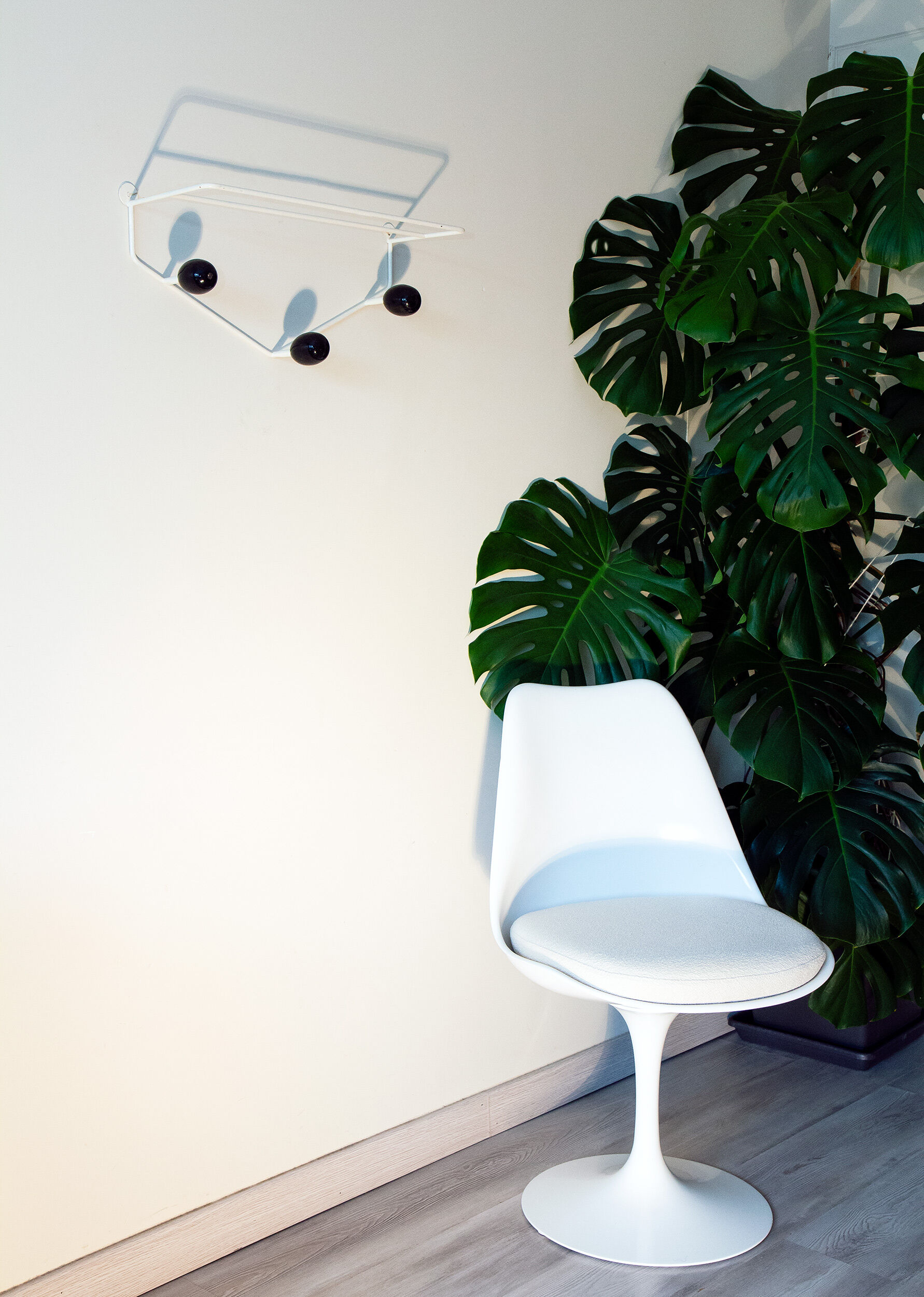 Wall coat rack year 50-60