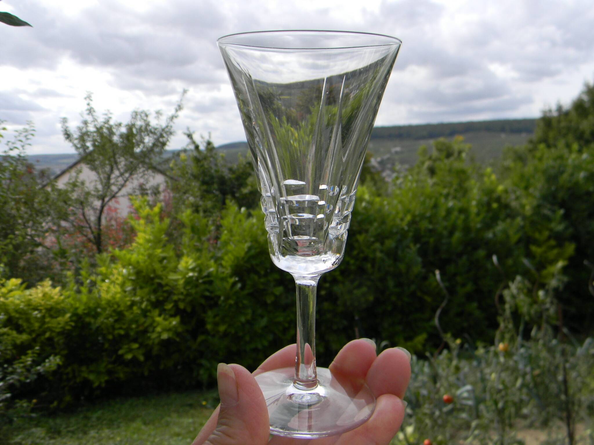 Lot de 6 verres à porto en cristal VILLEROY ET BOCH. Modèle Concorde.