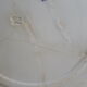 Gien earthenware plate gold medal model glycine diam 22.5 cm