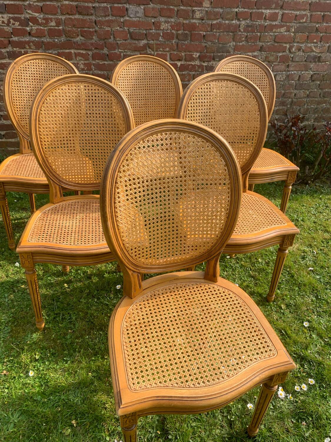 Set of 6 Louis XVI style cane medallion chairs