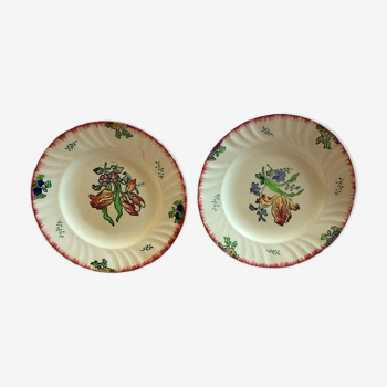 Two old flat plates made of Longwy earthenware