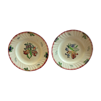 Deux assiettes plates anciennes en faïence de Longwy