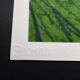 Lithographie Édition Limitée "Fleurs" par Andy Warhol par CMOA - Après - COA
