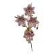 Mid-century design Murano pink glass flower wall lamp, 1970s