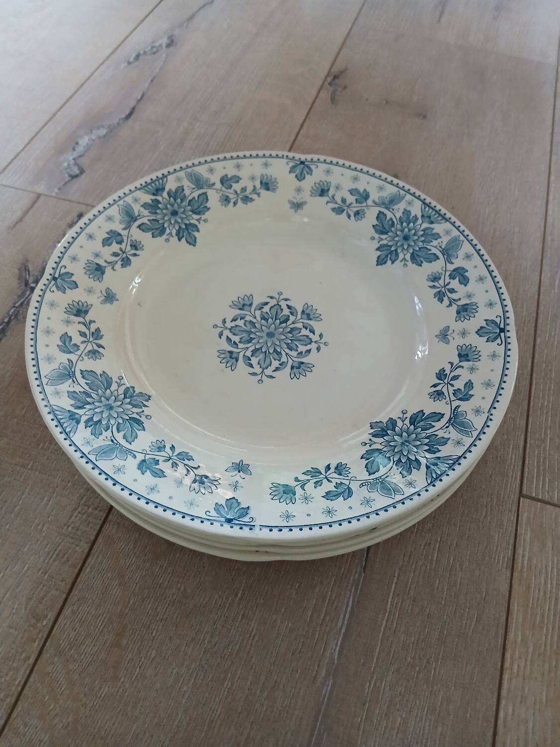 5 old flat plates in Sarreguemines ironstone