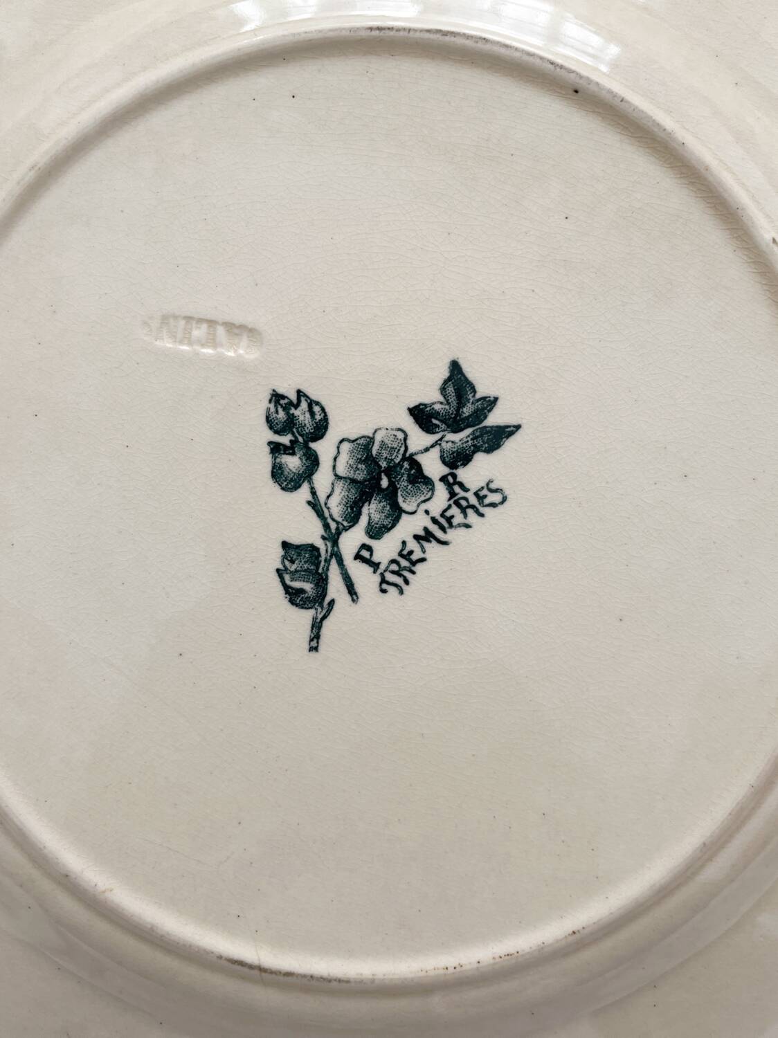 Old flat iron earth plate “Tremières” Salins