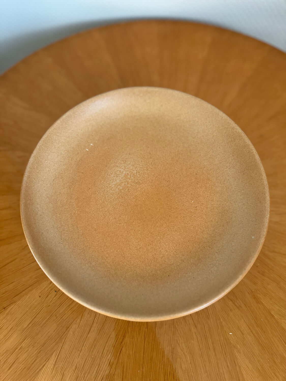 Set of 5 large vintage stoneware dinner plates