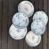 Set of 6 mismatched iron earth flat plates
