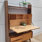 Shelf wall cabinet secretary