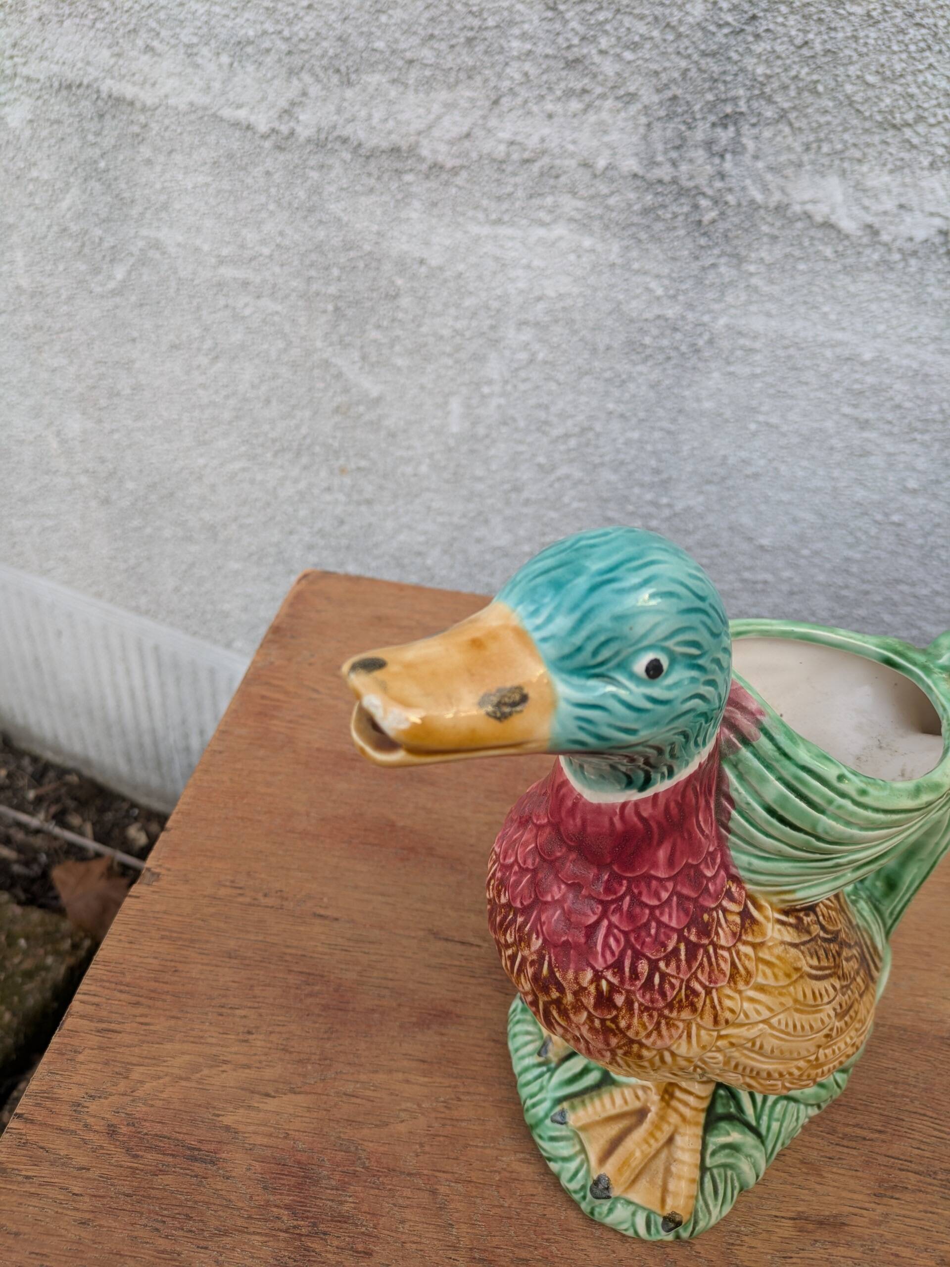 Duck pitcher