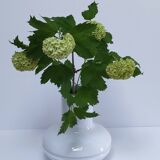 Gerold porcelain vase from the 80s