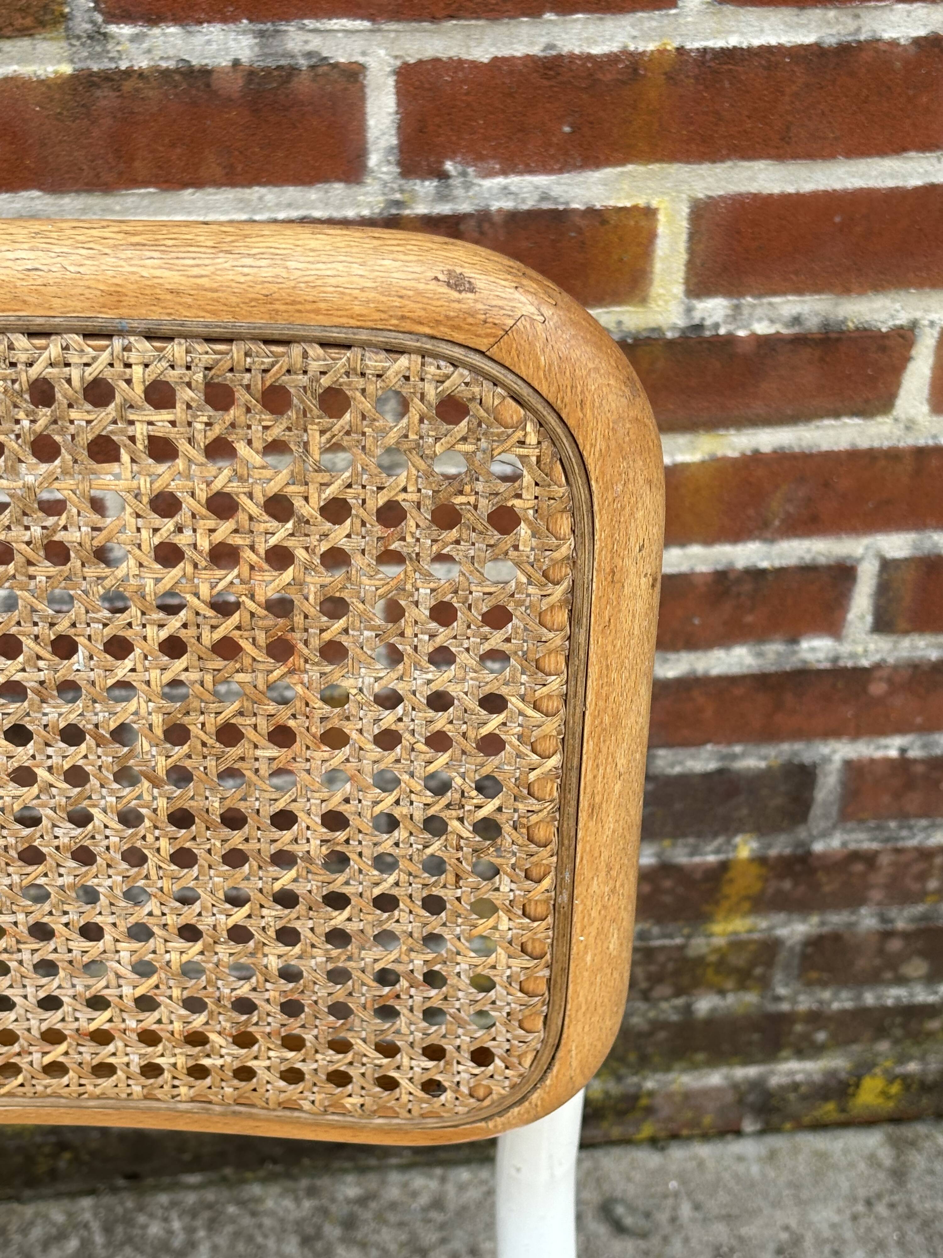 Cesca chair b32 model in white and wood by Marcel Breuer
