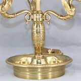 Empire style solid bronze hot water bottle lamp