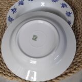 Blue leaf deep plates