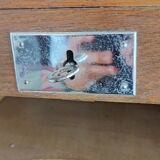 Filing cabinet with curtain