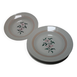 6 deep plates Alpes / Givors