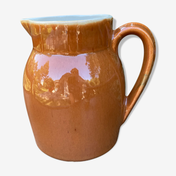 Small pitcher with brown water