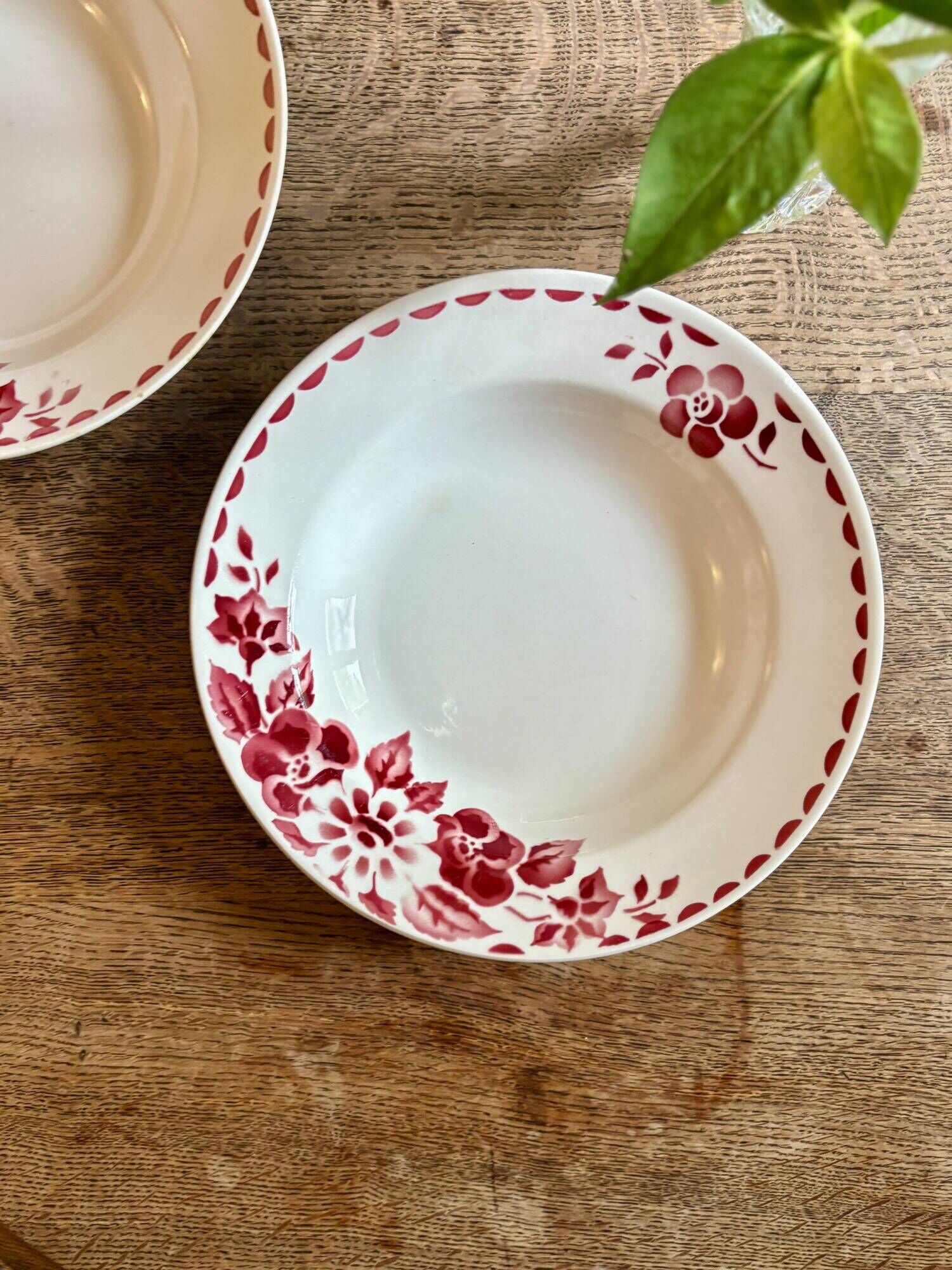 Set of 6 vintage deep plates Model Jane by Céranord