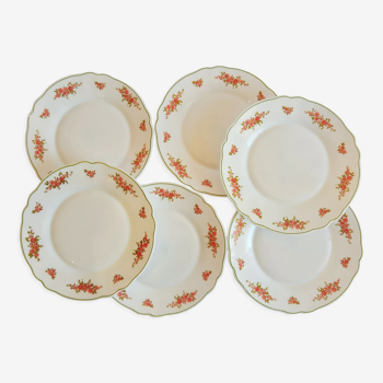 Lot de 6 assiettes à dessert motifs roses opaline Arcopal France Vintage