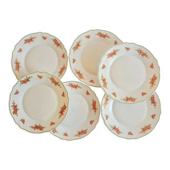 Lot de 6 assiettes à dessert motifs roses opaline Arcopal France Vintage