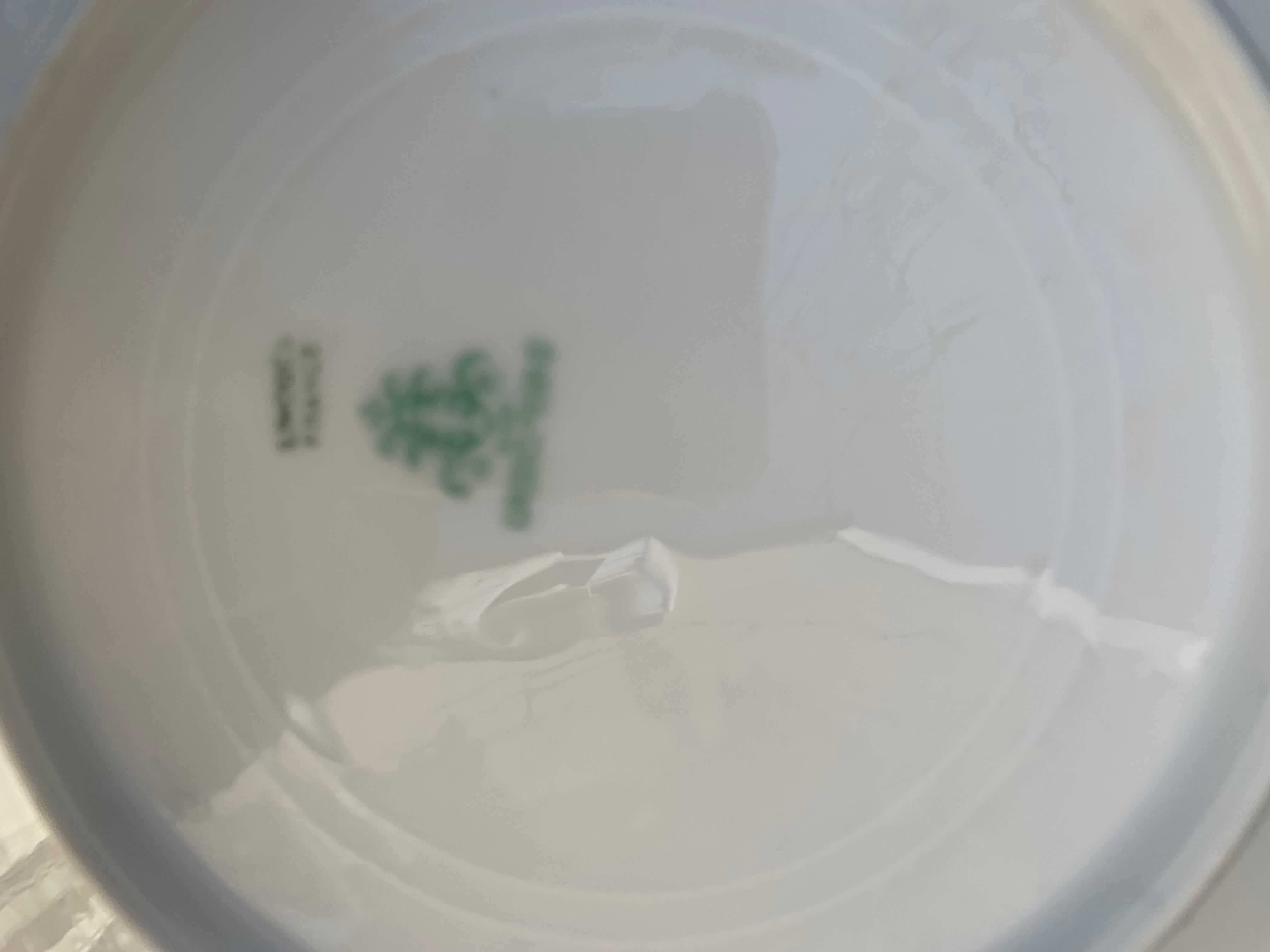 6 plates in limoges porcelain pattern old floral frieze