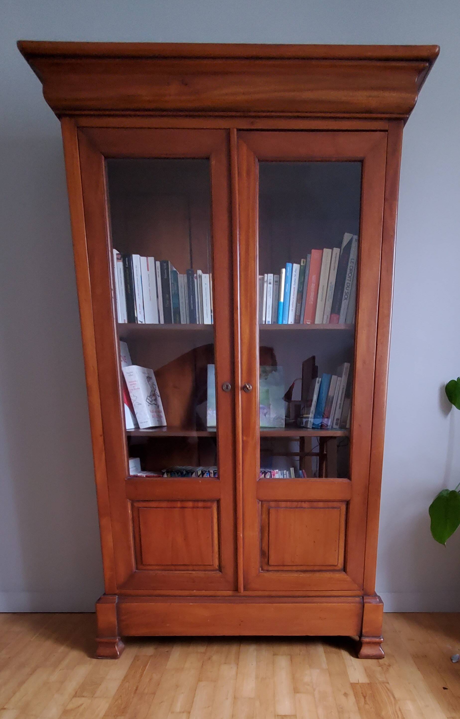 Showcase library in solid wood