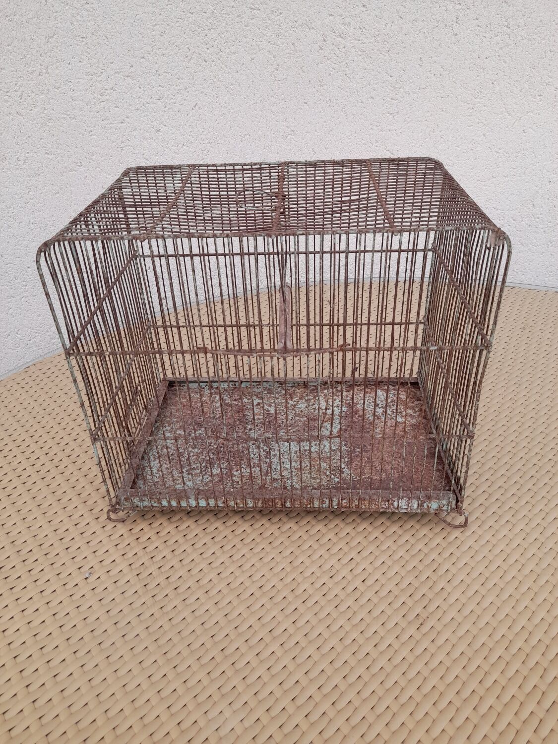 Old bird cage