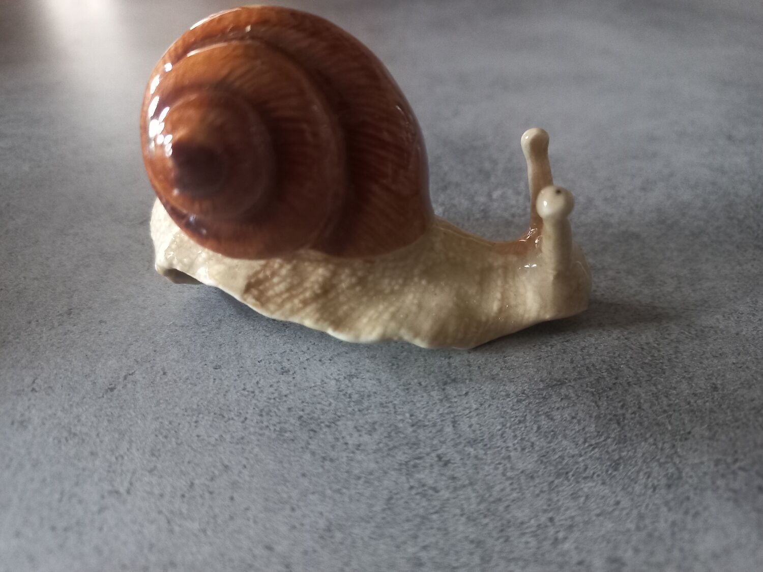 Family snails