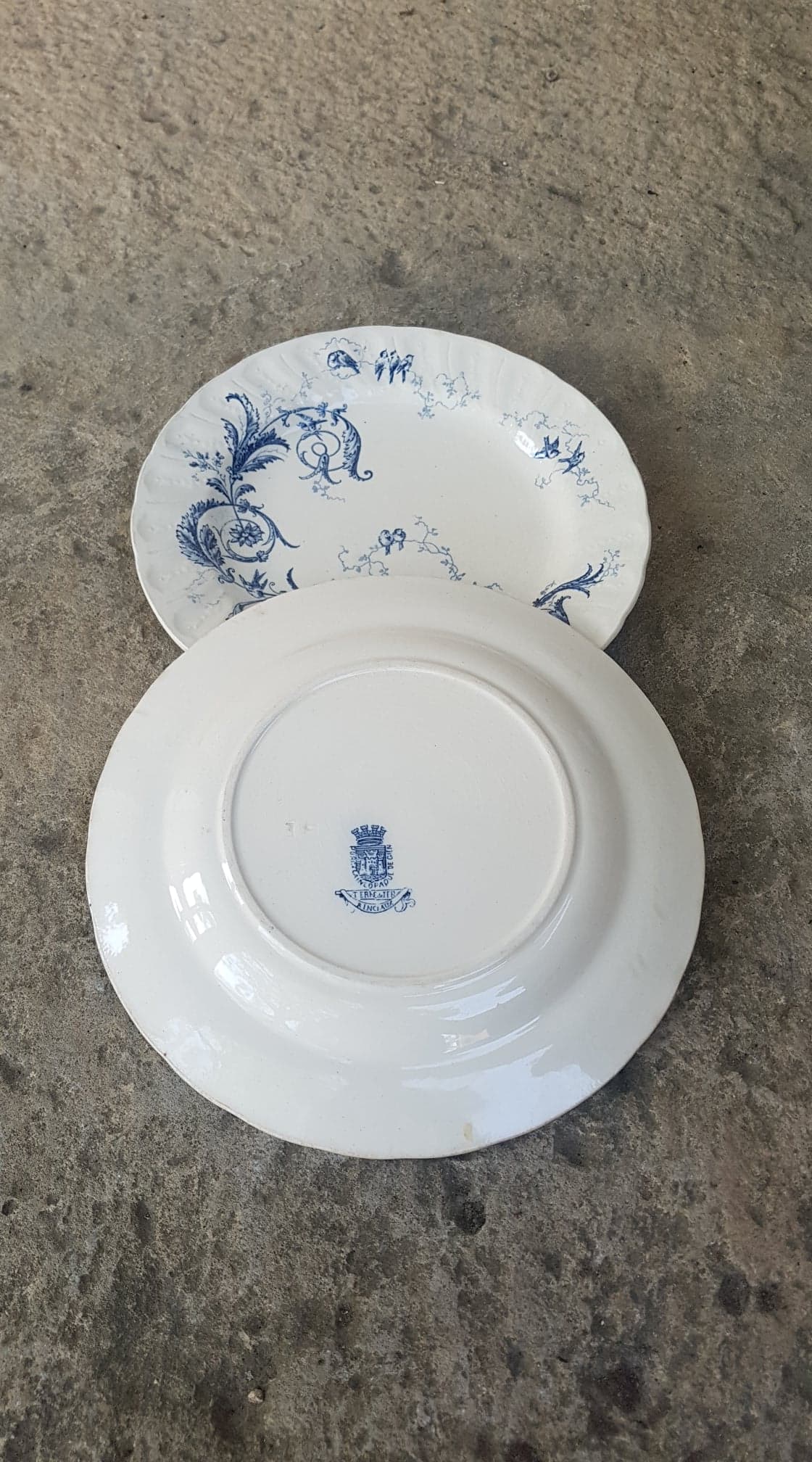 Set of 2 plates in Iron Earth Gien model Rinceaux