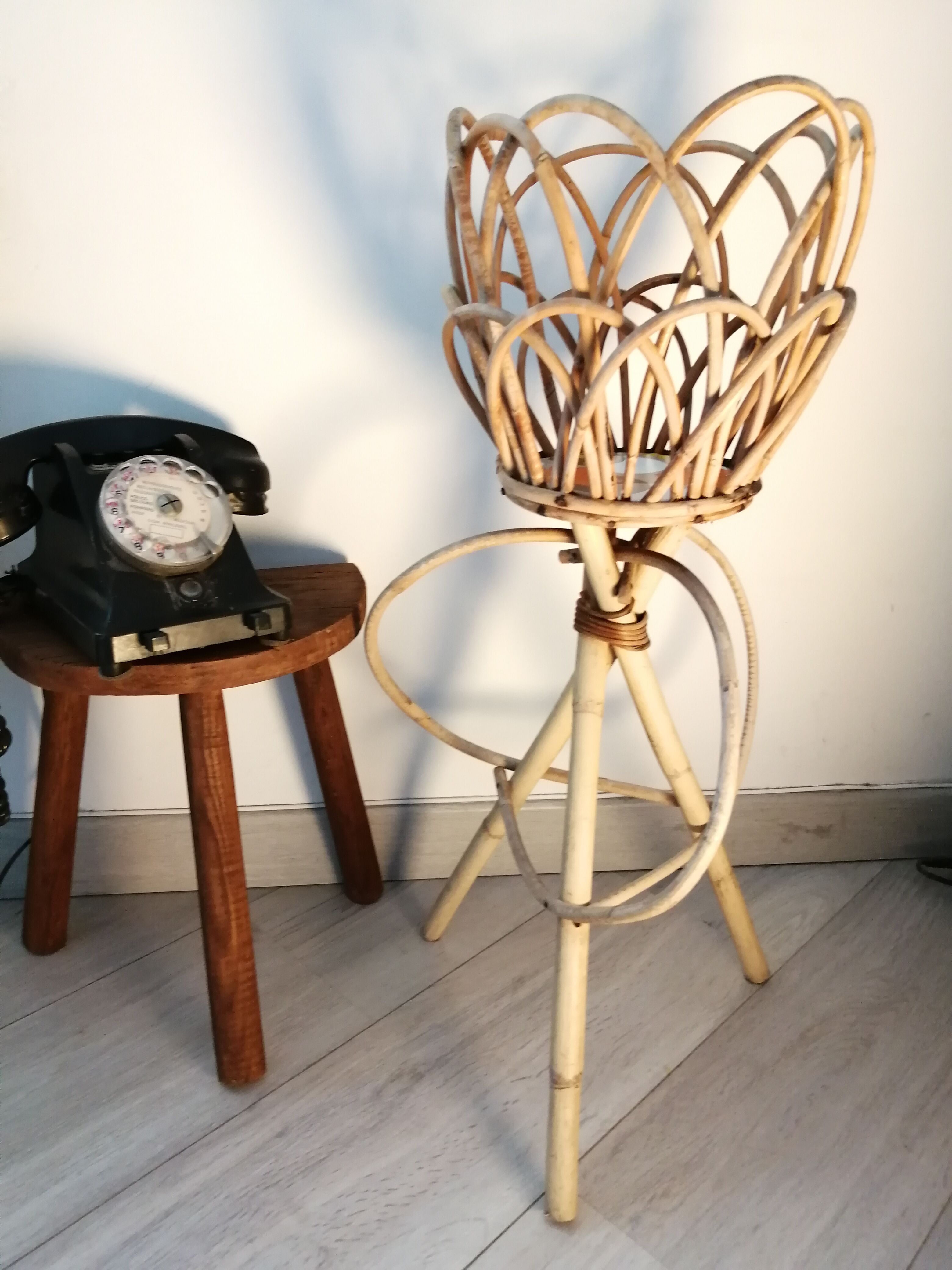 Door rattan plant 60s