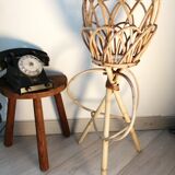 Door rattan plant 60s