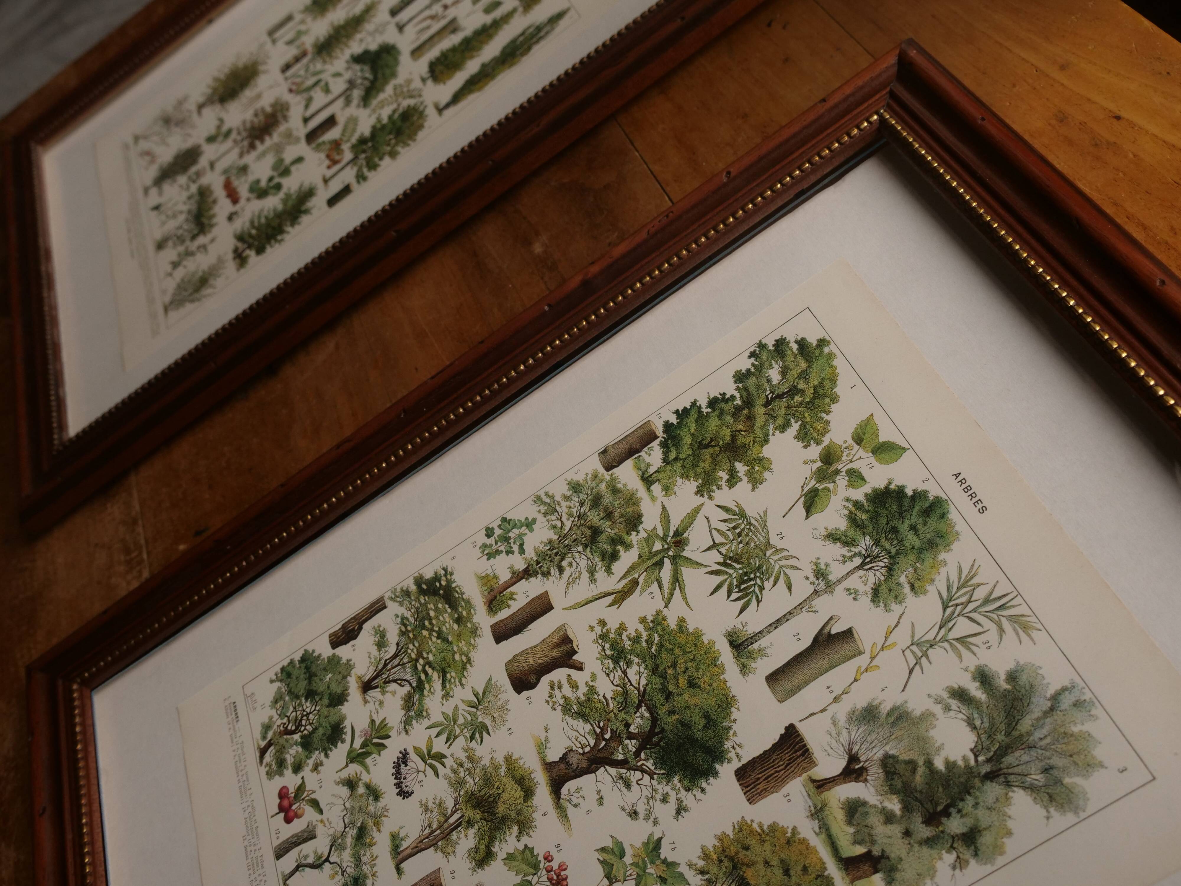 Original lithograph on Man