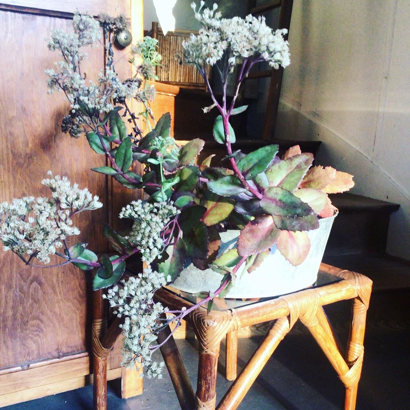 Low table in rattan and smoked glass