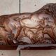 Lion stylized art deco earthenware of Saint Clement