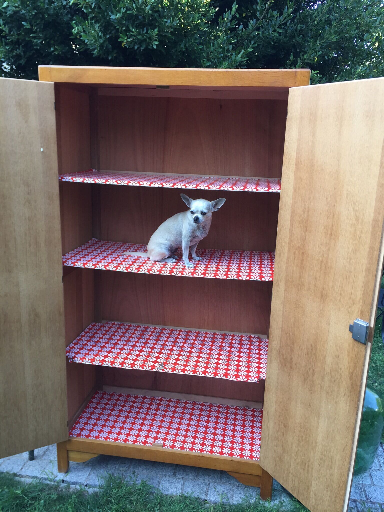 School vintage 1950 in blond oak wardrobe