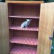 School vintage 1950 in blond oak wardrobe