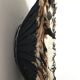 Juju hat 80cm blanc noir moucheté