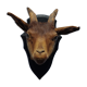 Goat hunting trophy