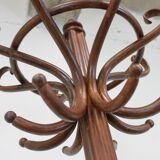 Thonet style parrot