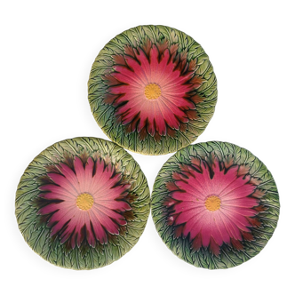 Old bartotine plates
