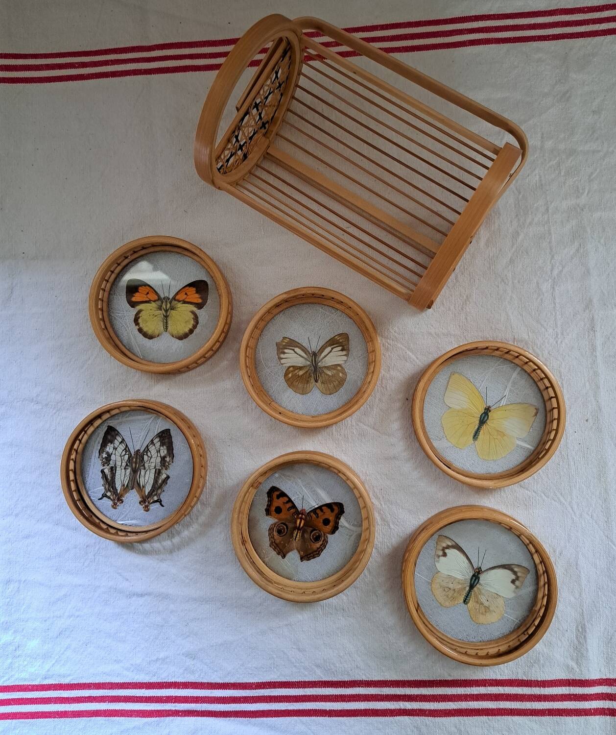 6 70's Butterflies under glass and their support