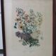 Framed Vilmorin lithograph, bouquet No 3, 1853, E. Champin