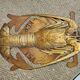 Naturalized lobster of the mid-twentieth century